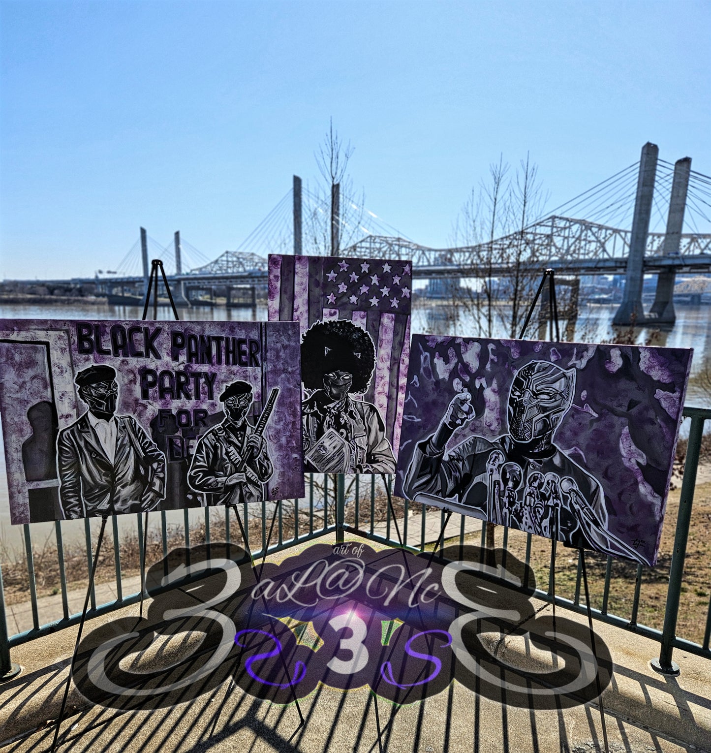 Power of the Panther series